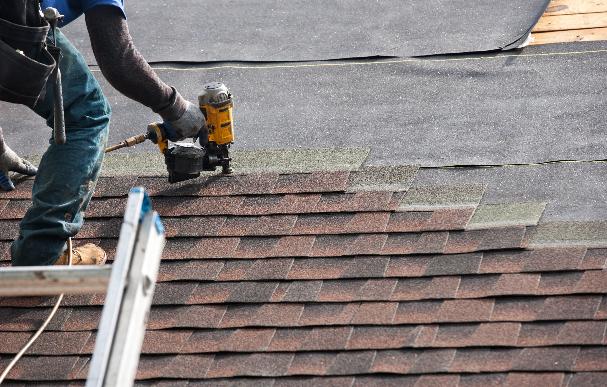 shingle roofing services in florida